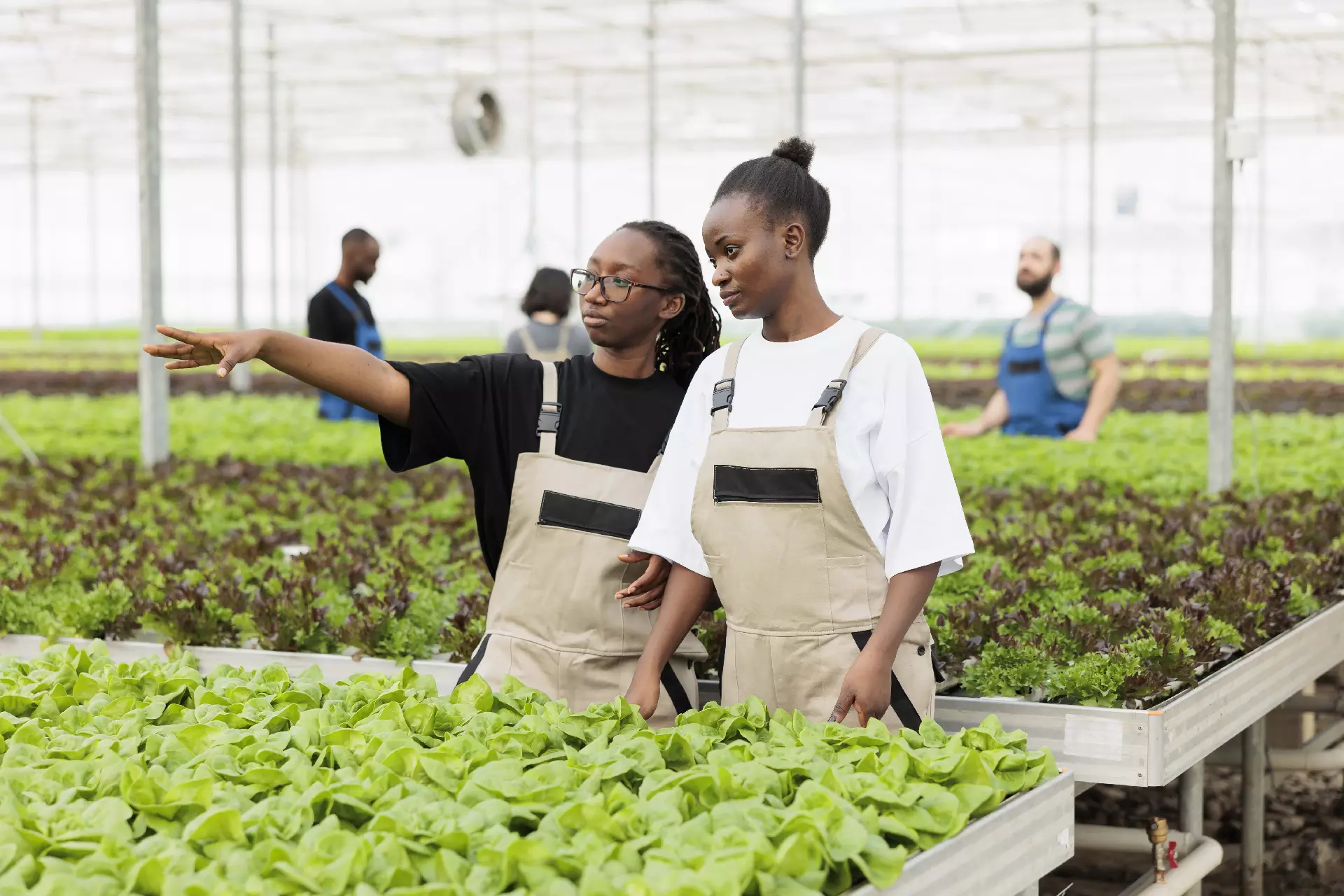 Growmate Uganda contact and agricultural support